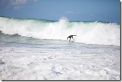 20100824_LL_1-4