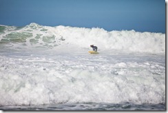 20100824_LL_1-6
