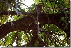 20100907_LL_1-10 20100907_LL_1-10