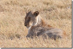 20100908_LL_1-3