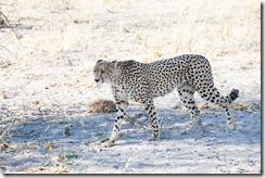 20100914_LL_1-3