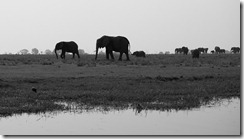 20100916_LL_1-4