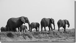 20100916_LL_1-5
