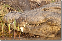20100916_LL_1-7