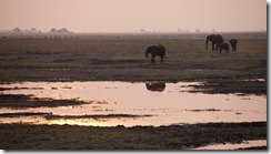 20100916_LL_1-8