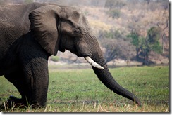 20100916_LL_1