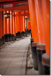 20101020_LL_1-2