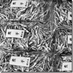 20101022_LL_1-9