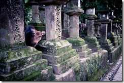 20101023_LL_1-8