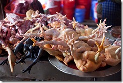 20101119_LL_1-6