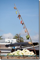 20101129_LL_1-4