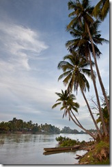 20101218_LL_1-2