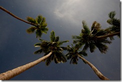 20101218_LL_1-4
