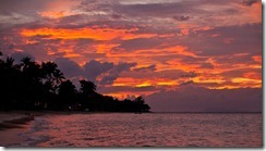 20110108_LL_1-7