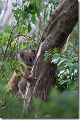 20110209_LL_1