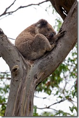 20110210_LL_1-4