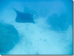 20110401_LL_00108-11