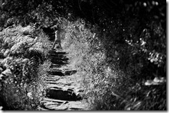 20110616_LL_00199-41