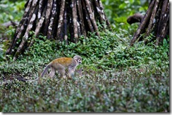 20110703_LL_00222-105