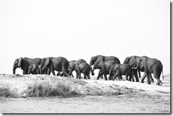 20100916_LL_16092010_LL00300 20100916_LL_16092010_LL00300