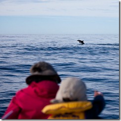 20110228_LL_20110228_LL_00065-35 20110228_LL_20110228_LL_00065-35