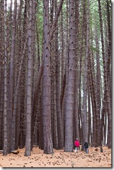 20110507_LL_20110507_LL_00153-52 20110507_LL_20110507_LL_00153-52