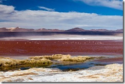 20110527_LL_20110527_LL_00176-170 20110527_LL_20110527_LL_00176-170