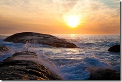 20100829_LL_29082010_LL00211