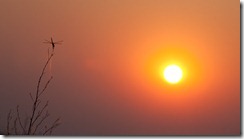 20100903_LL_03092010_LL00369