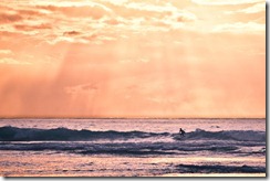 20101108_LL_08112010_LL00200