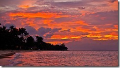 20110108_LL_20110108_LL_00010-115
