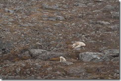 20120813_174612_IMG_1778