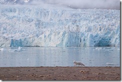 20120818_215159_IMG_2847